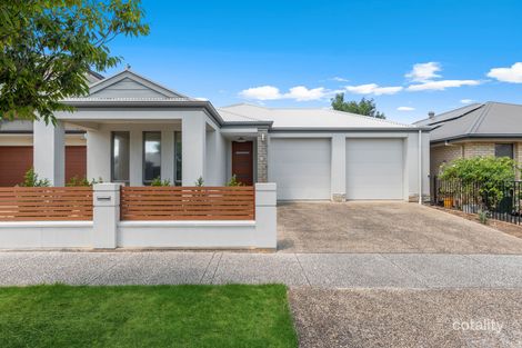 Property photo of 55 Rapid Avenue Lightsview SA 5085
