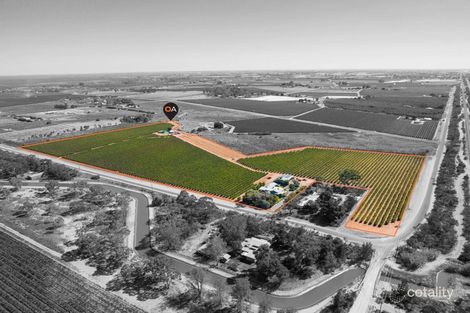 Property photo of 262 Wilga Road Red Cliffs VIC 3496