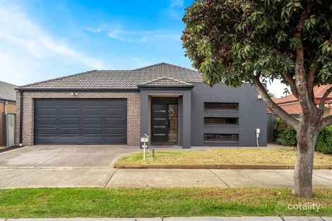 13 Wyperfeld Ave, Craigieburn, VIC 3064