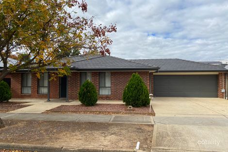 3d Maud St, Prospect, SA 5082