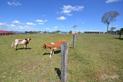 Property photo of 67 Montana Place Woolmar QLD 4515