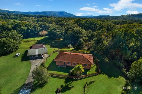 Property photo of 30 Coral Avenue Mullumbimby NSW 2482