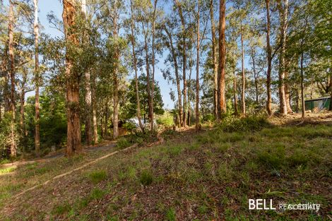 Property photo of 18 Upper Grieve Road Avonsleigh VIC 3782