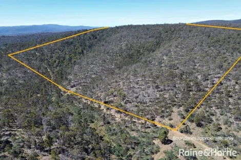 1048 South Rhodes Rd, Stonehenge, TAS 7120