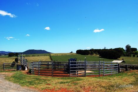 543 Old Coast Rd, North Dorrigo, NSW 2453