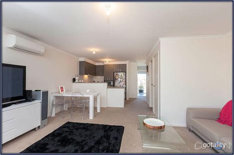 Property photo of 14 Marie Dalley Street Gungahlin ACT 2912