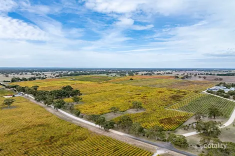 Property photo of 182 McLean Road Coonawarra SA 5263