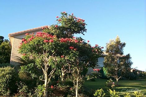 Property photo of 37 Moondara Terrace Port Macquarie NSW 2444