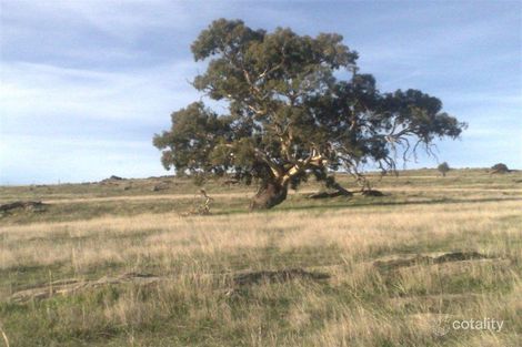 145 Rhine Park Rd, Eden Valley, SA 5235