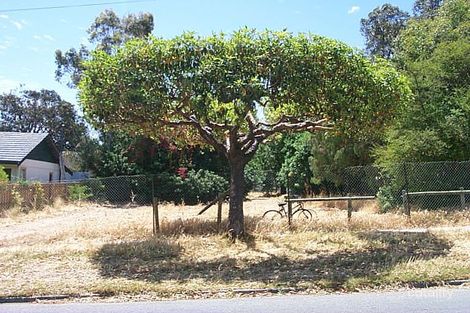 124 Brighton Rd, Scarborough, WA 6019