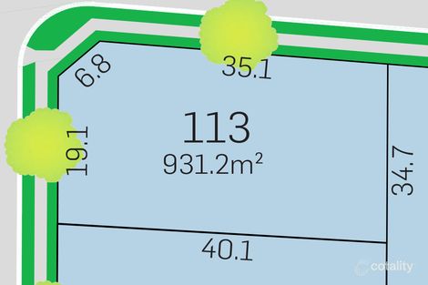 Property photo of 1 Brahman Street Lochinvar NSW 2321