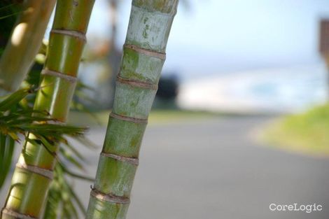 Property photo of 25 Vista Way Scotts Head NSW 2447