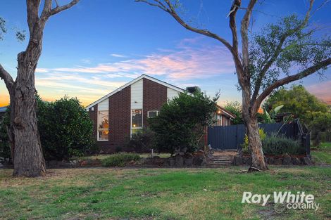 16 Hovell Ct, Cranbourne, VIC 3977