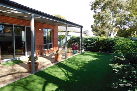 Property photo of 5A McGlasson Avenue Magill SA 5072
