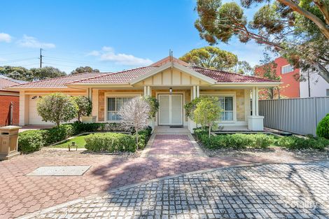 Property photo of 19 Leopold Avenue Northgate SA 5085