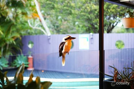 Property photo of 34 Sea Eagle Drive Burleigh Waters QLD 4220