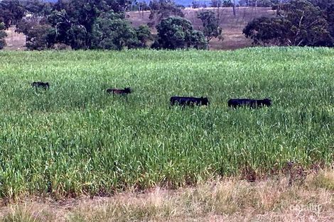 520 Bakers Creek Rd, Bundarra, NSW 2359