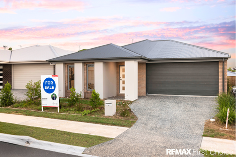 14 Ferris Ave, Park Ridge, QLD 4125