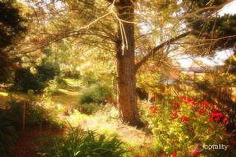 Property photo of 24 Maria Drive Langwarrin VIC 3910