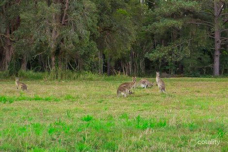 Property photo of 267 Fraser Road Beerwah QLD 4519