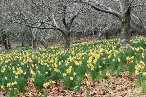 34 Mccarthy Rd, Olinda, VIC 3788