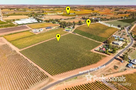 225 Stewart Rd, Red Cliffs, VIC 3496