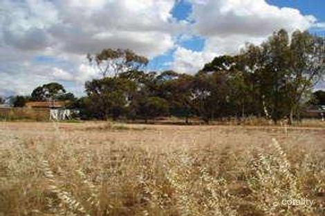 19 Harling St, Merredin, WA 6415