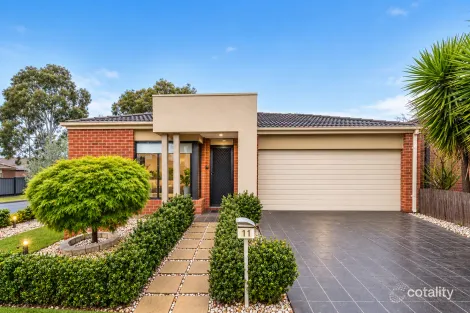 11 CASSINIAS GR, MERNDA, VIC 3754
