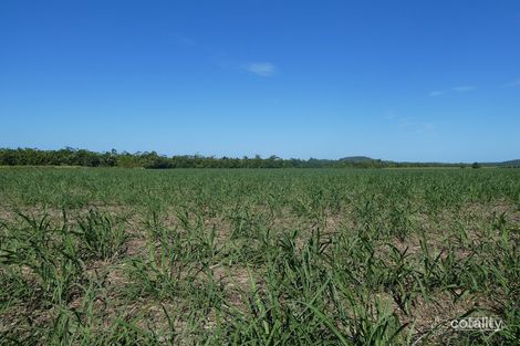 Marwick Rd, Cowley, QLD 4871