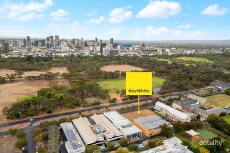 88 Greenhill Rd, Wayville, SA 5034
