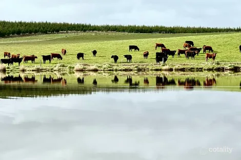 2431 Bridport Rd, Bridport, TAS 7262