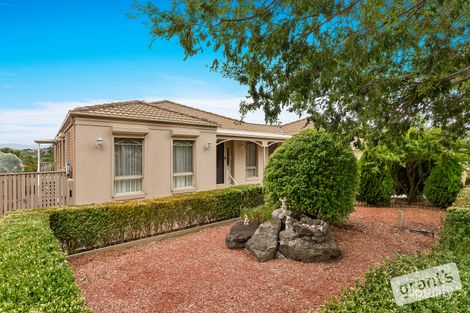 Property photo of 34 Shinners Avenue Berwick VIC 3806