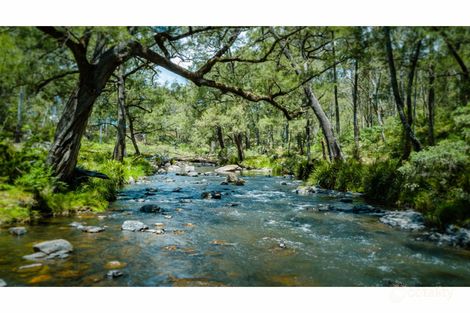 Property photo of 2413 Tyringham Road Tyringham NSW 2453