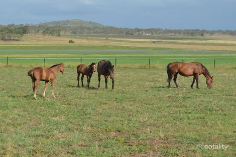 Property photo of 50 Newton Road East Athol QLD 4350