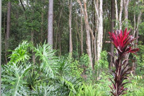 Property photo of 7/26 Kauri Street Cooroy QLD 4563