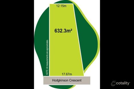 Property photo of 41 Hodgkinson Crescent Panania NSW 2213