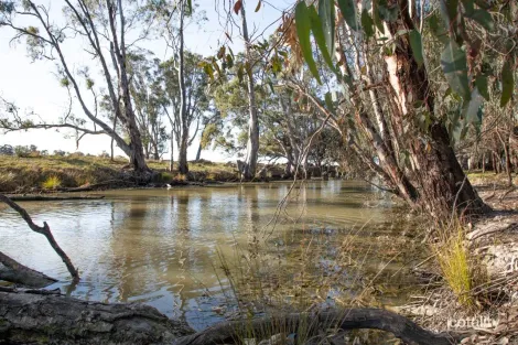 136 Glenview Rd, Barham, NSW 2732