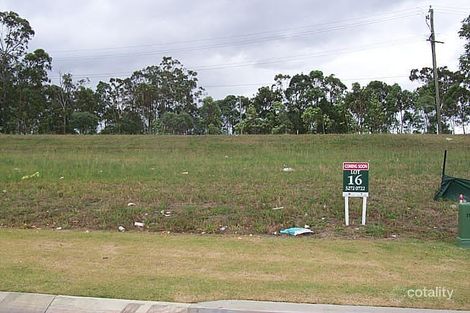 Property photo of 43 Linaria Circuit Drewvale QLD 4116
