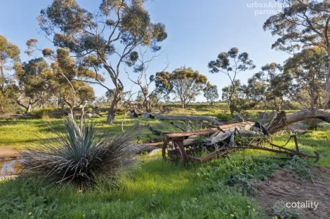 1101 Gum Creek Rd, Menzies, SA 5223