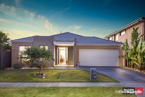 Property photo of 20 Airlie Avenue Point Cook VIC 3030