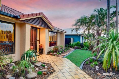 Property photo of 12 Kingfish Court Mountain Creek QLD 4557