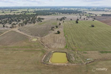 800 Bridge Rd, Caniambo, VIC 3630