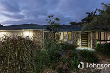 Property photo of 14 Orangegrove Court Birkdale QLD 4159