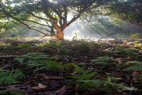 42 Sharwill Dr, Valla, NSW 2448