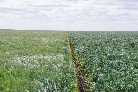 3919 Bald Hill Rd, Bellata, NSW 2397