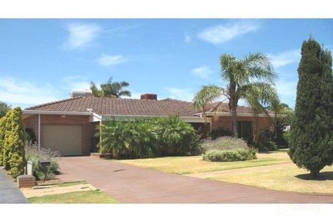 Property photo of 12 Gummer Avenue Geraldton WA 6530