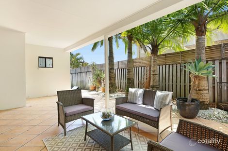Property photo of 13 Torrey Place Robina QLD 4226