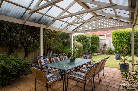 Property photo of 6 Sanderson Terrace Morphettville SA 5043