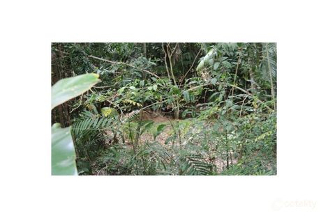 Property photo of 52 Christian Street Babinda QLD 4861