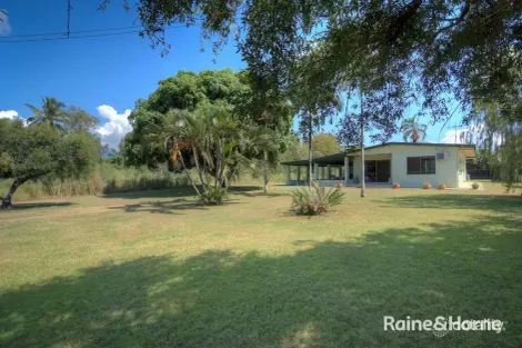 Property photo of 19 Palm Street Cooya Beach QLD 4873